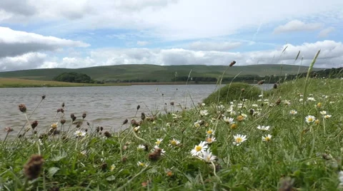 Windy at Malham Tarn lake Vídeos de archivo 64199841