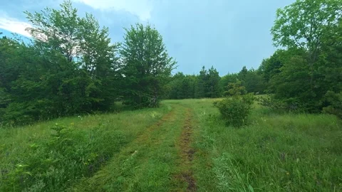 Windy meadow with dirt path through tall grass. Kozji Kamen area, Serbia 스톡 동영상 341876329