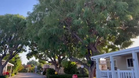 Windy Mobile Park Stock Footage 238748560