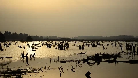 Windy morning on the river Stock-Footage 140752040