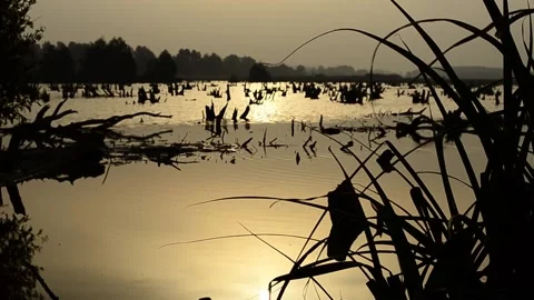 Windy morning on the river Video stock 141328489