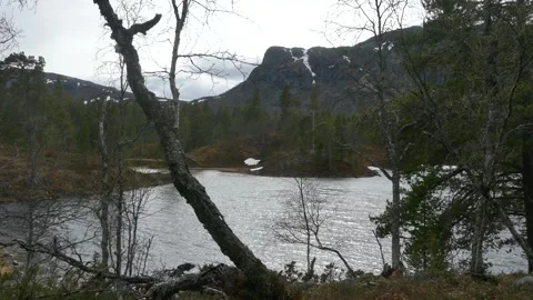 Windy mountain lake with bare trees and rugged cliffs Stock Footage 318197286