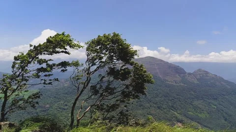 Windy Mountain Landscape in 4K Stock Footage 313149989
