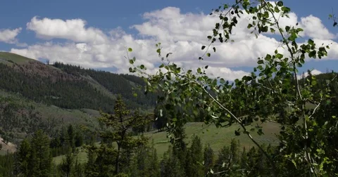 Windy mountain top 4k 24fps Stock Footage 79278596