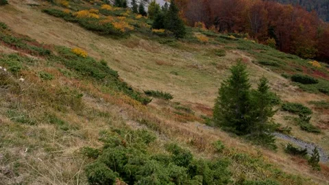 Windy Mountain view showcasing vast slopes with hints of Autumn colors. Stock Footage 254037974