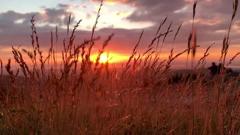 Windy mountaintop sunset 動画素材 204020498