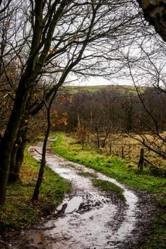 A windy, muddy pathway leading though a forest Stock Photos