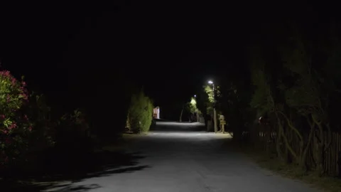Windy night on illuminated rural street Stock Footage 270147553
