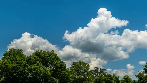 Windy Oak Forest and Cumulus Clouds Time Lapse Stock Footage 280108605
