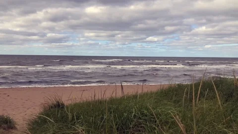 Windy Overcast Beach Pan 動画素材 125024870