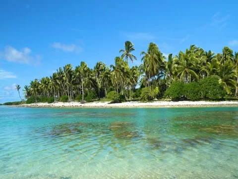 Windy palm trees and tropical lagoon. Stock-Footage 75540887