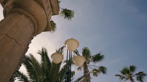 Windy palm trees with a lamp Stock Footage 86736814