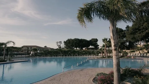 Windy palm trees at the pool Stock Footage 86487420