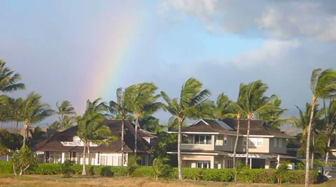 Windy Palms and Rainbow Over Homes Stock Footage 37779910