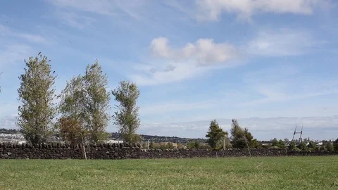 Windy Park Vidéo 105214613