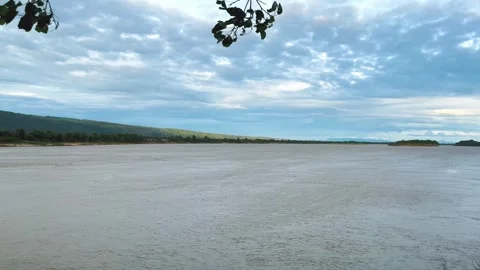 Windy with Peepal Leafs on the Branches, Landscape Riverside Mekong River Stock Footage 321671257