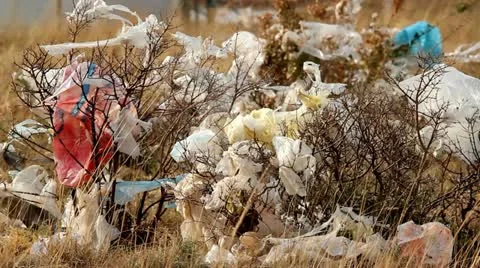 Windy pollution Stock Footage 12228450