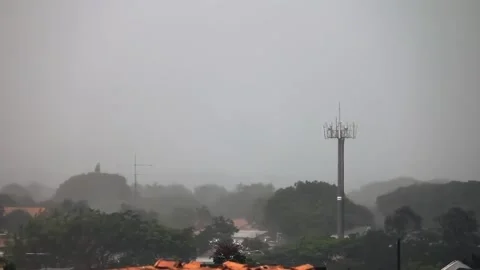 Windy Rainy Trees Part 2 Stock Footage 222876550