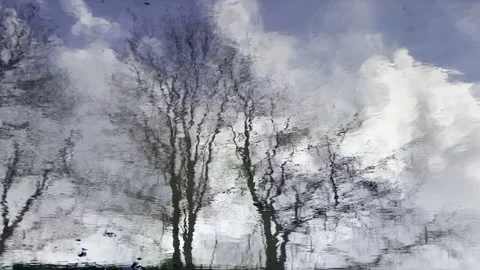 Windy Reflection of Trees and Clouds in Spring Puddle Stock Footage 313810469