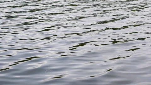 Windy ripples of water in the river in cloudy weather Stock Footage 280334770