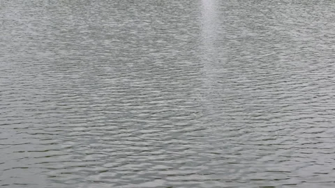 Windy ripples of water in the river in cloudy weather Stock Footage 281176587