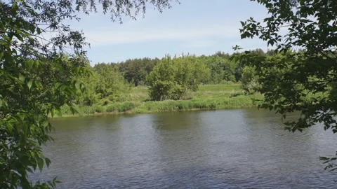 Windy river landscape Stock Footage 103448306