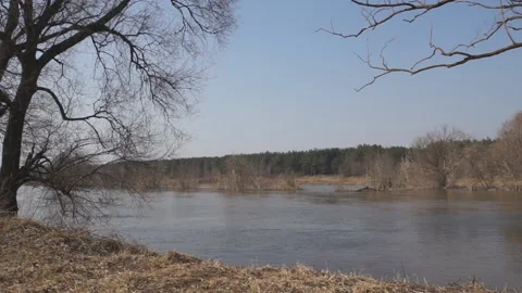 Windy river trees Stock-Footage 104793703