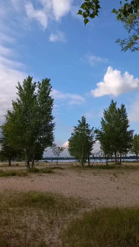 Windy Riverside Beach with Trees and Blue Sky, Dnipro, Ukraine Stock Footage 342350713