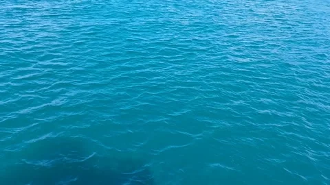 Windy Sea View from a Ship Video stock 317567817