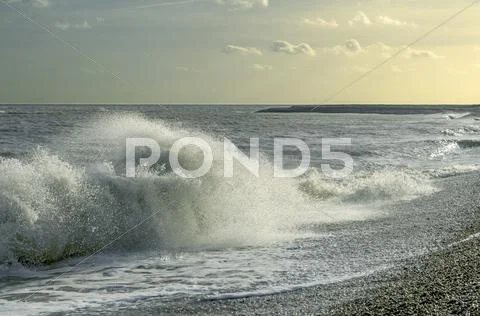 Windy seashore Stock Photos
