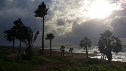 Windy shore Stock Footage 84765760