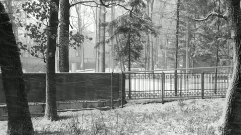 Windy Snow Landscape Stock Footage 83885054