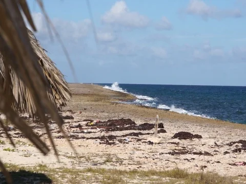 Windy Summer Day at the Cuba beach 스톡 동영상 78199890