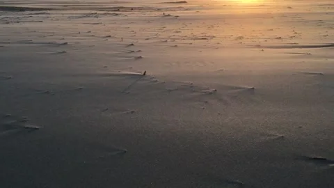 Windy sunset on the beach Stock Footage 202187393