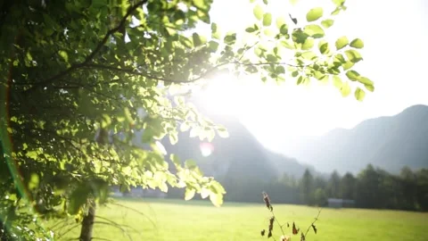 Windy sunset Stock-Footage 152846728