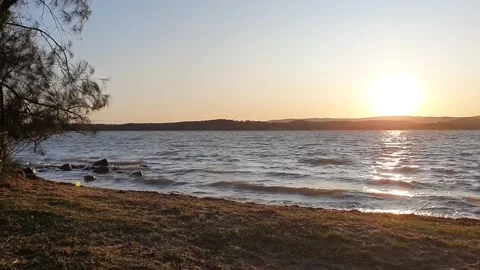 Windy sunset by the lake Stock Footage 211065297