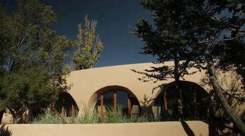 Windy Treeline Stock Footage 40813956