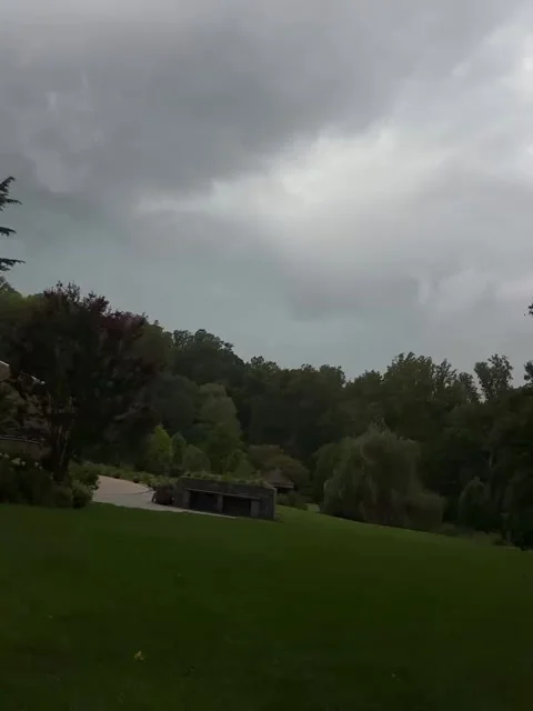 Windy Trees and Dramatic Clouds Over Green Park Stock-Footage 342268236