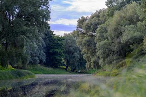 Windy trees line a quiet, shallow riverbed. Soft green grass sways gently i.. Stock Photos