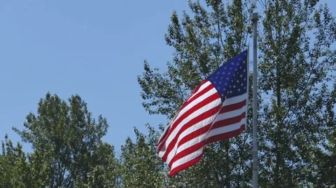 Windy USA Flag Waving On Pole Near Trees Stock Footage 51396228