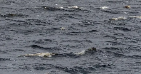 Windy Water Enhanced Stock Footage 74583369