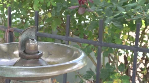 Windy Water Fountain Stock Footage 41667404