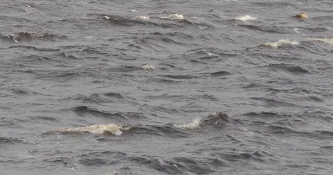 Windy Waves Original Stock Footage 74583372