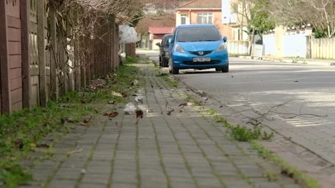 Windy weather Stock Footage 166855037