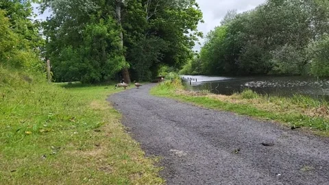 Windy Weather Stock Footage 310058619