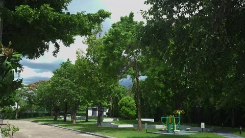Windy weather at park before rainfall. Vídeo Stock 245806090
