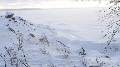 Windy winter landscape during snow storm, Finland Stock Footage 329150401