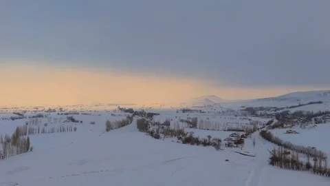 Windy winter landscape with snow-covered trees and rolling hills Stock Footage 332571268