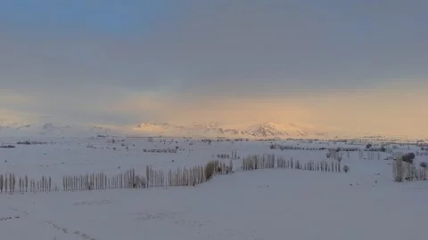 Windy winter landscape with snow-covered trees and rolling hills 스톡 동영상 332571409