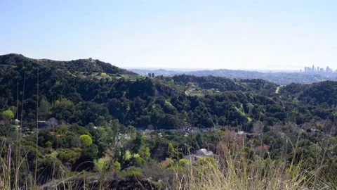 Windy_Canyon_LA Stock Footage 148356615